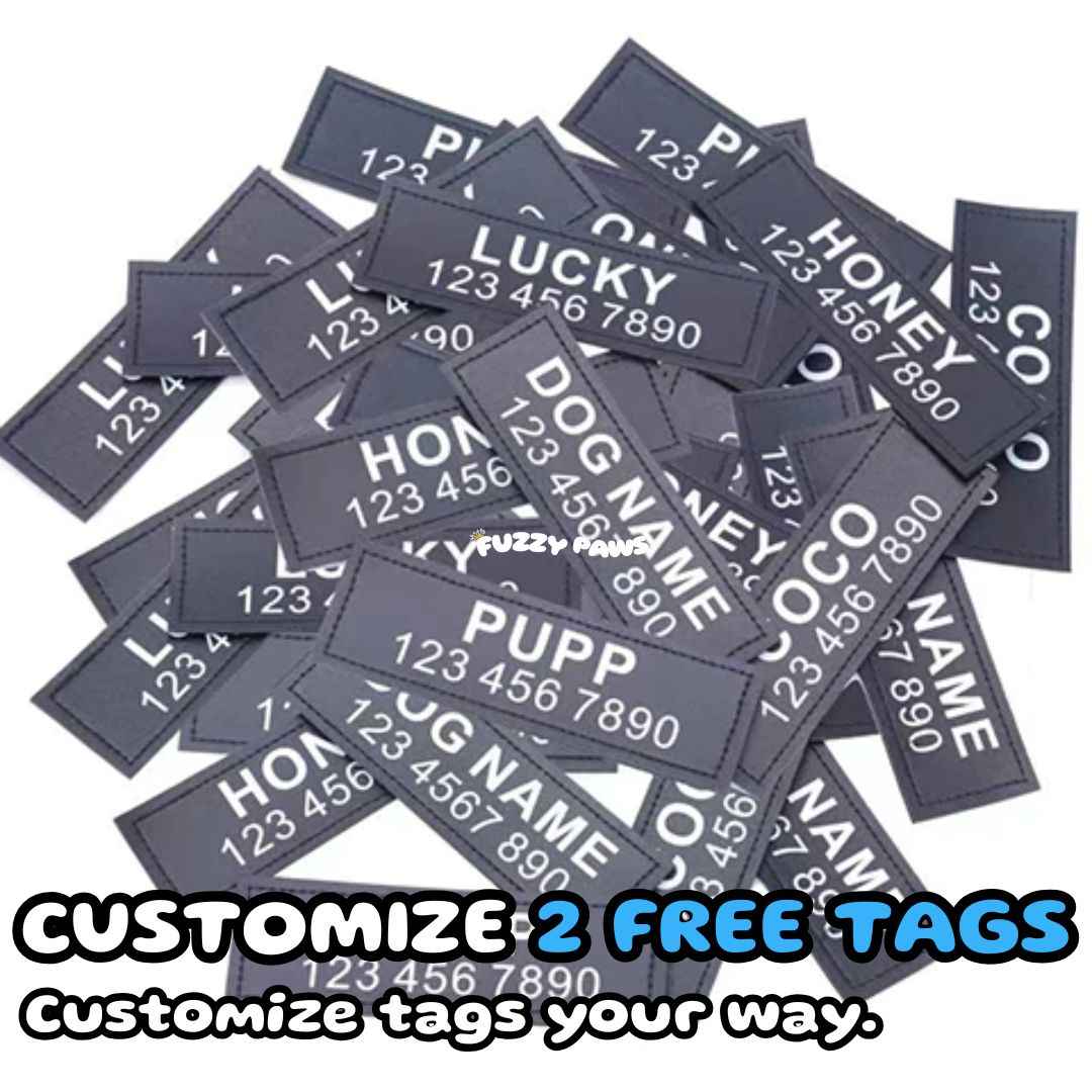 Personalized Dog Harness – Custom Name and Phone Tag – Adjustable and Reflective