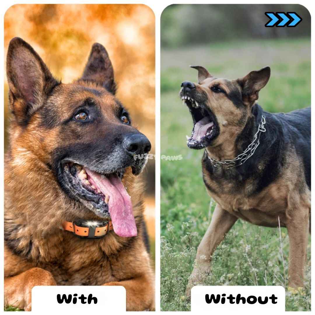 Waterproof Remote Dog Training Collar – Beep, Vibration and Adjustable Modes