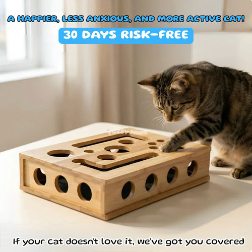 Cat Scratch Puzzle