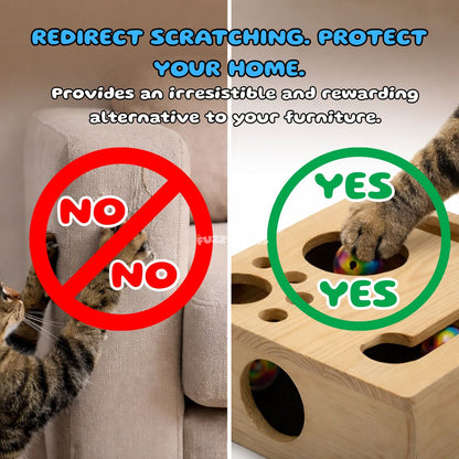 Cat Scratch Puzzle