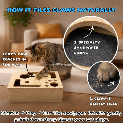 Cat Scratch Puzzle