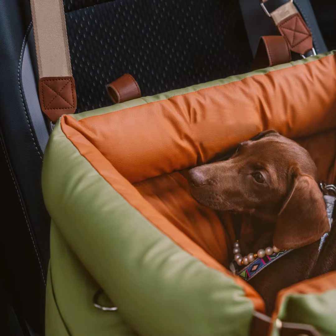 Dog Car Seat Bed – Booster Style, Comfortable for Travel