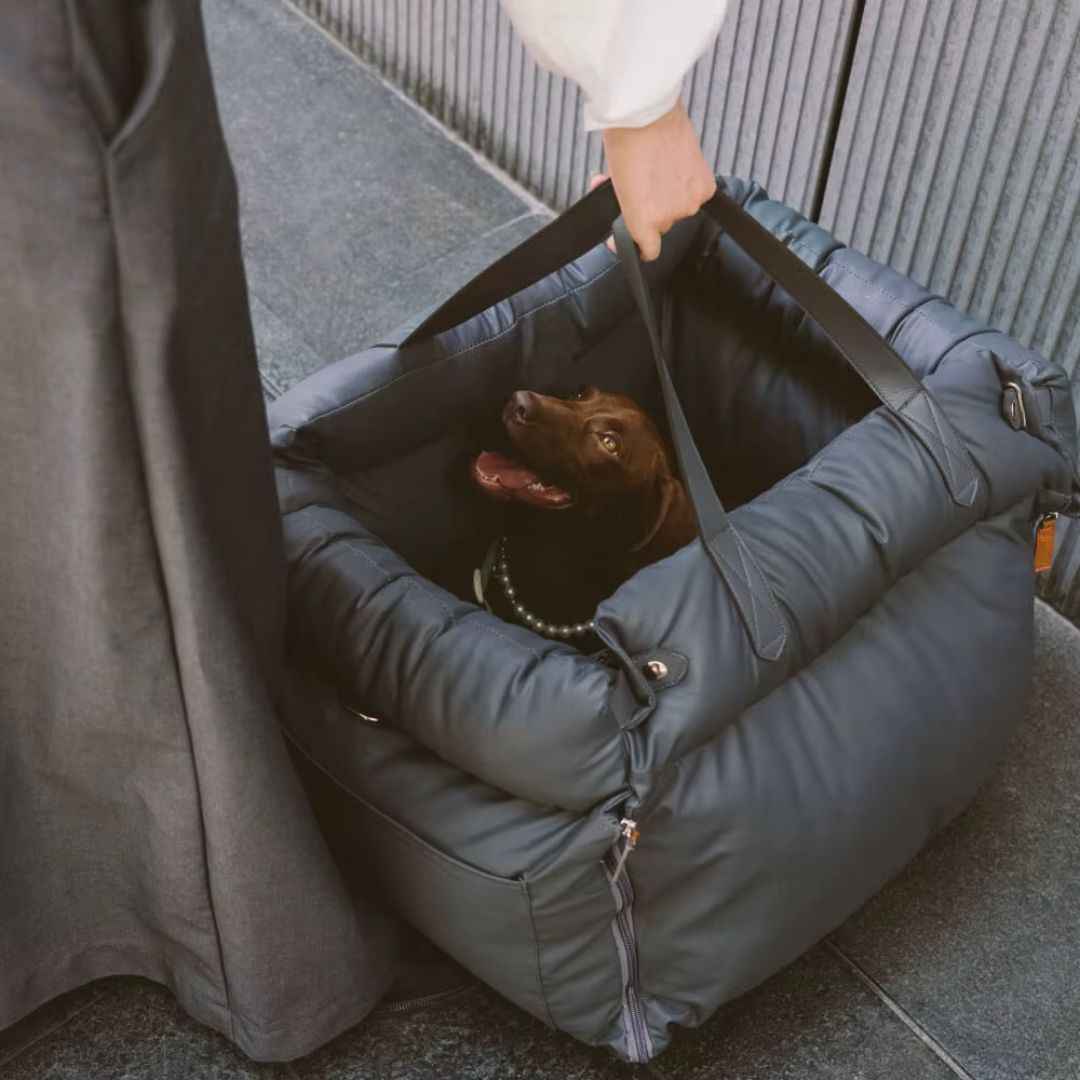 Dog Car Seat Bed – Booster Style, Comfortable for Travel