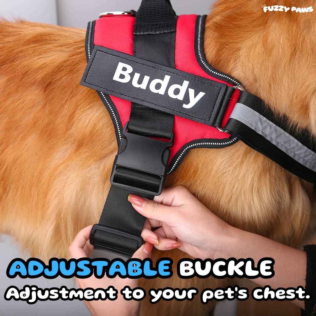 Personalized Dog Harness – Custom Name and Phone Tag – Adjustable and Reflective