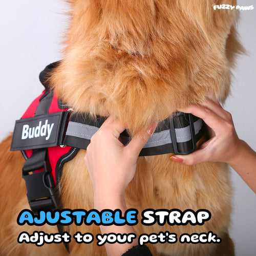 adjustable dog harness