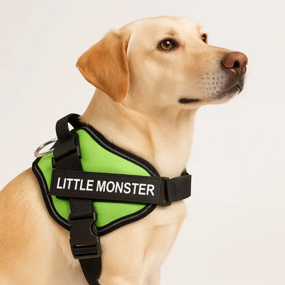 Personalized Reflective Dog Harness – Adjustable, Customizable with Name and Phone Number