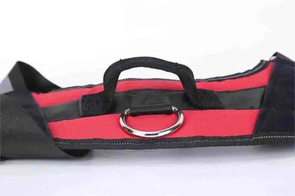 pet safety gear
