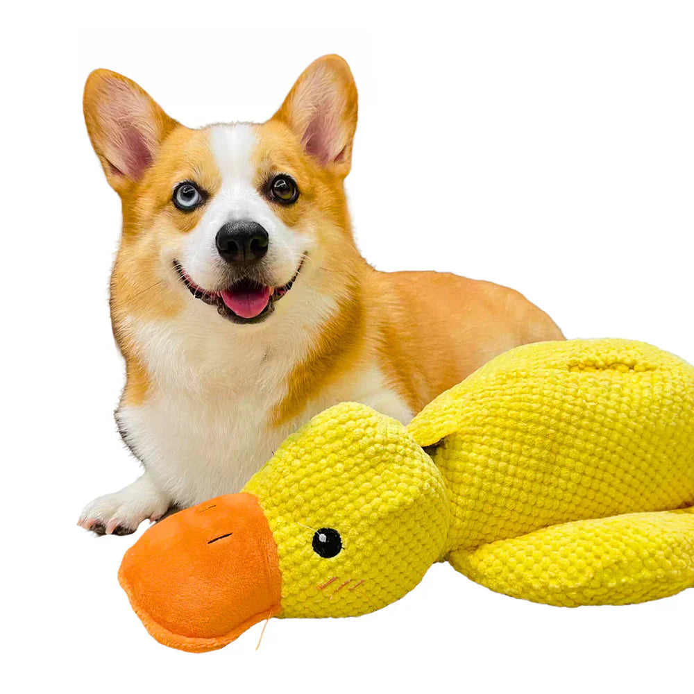 Duck Dog Toy