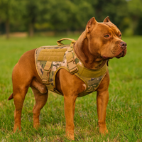 Brown Camouflage