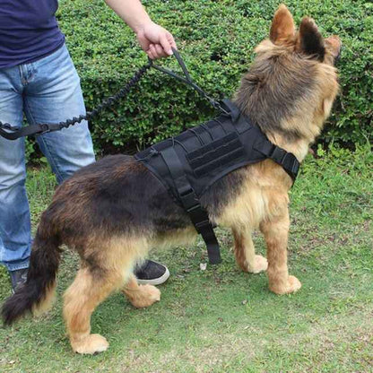 Tactical Dog Leash with Dual Handle – Heavy Duty Bungee, No-Pull Design for Large Dogs