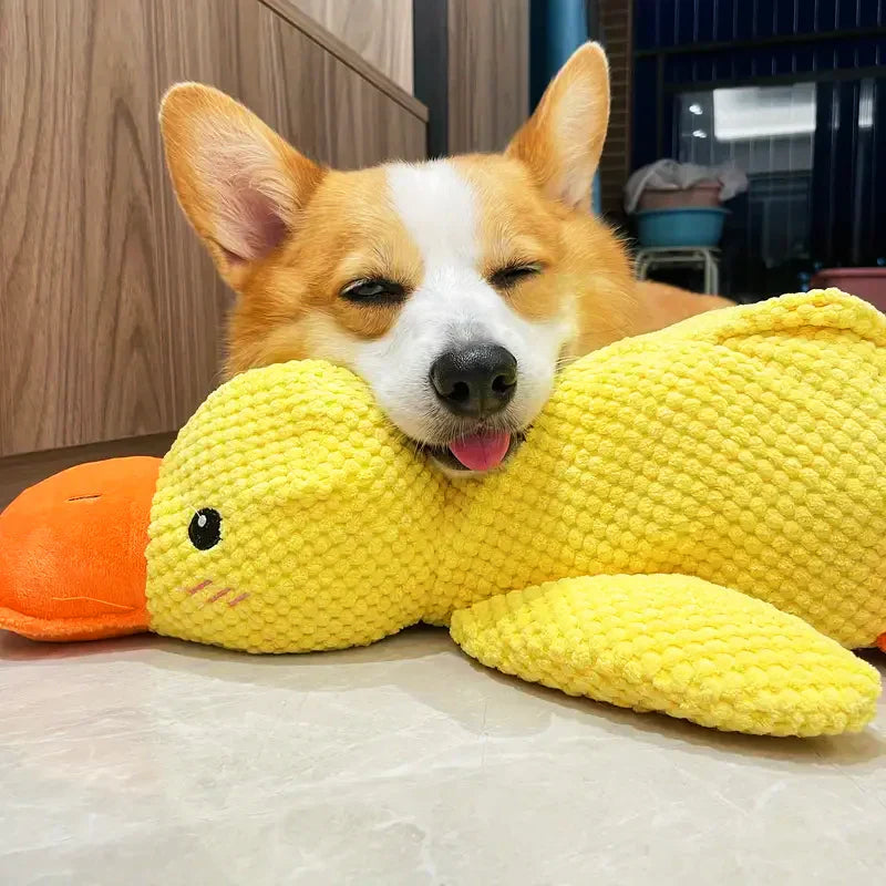 Duck Dog Toy