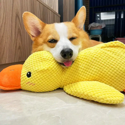 Duck Dog Toy